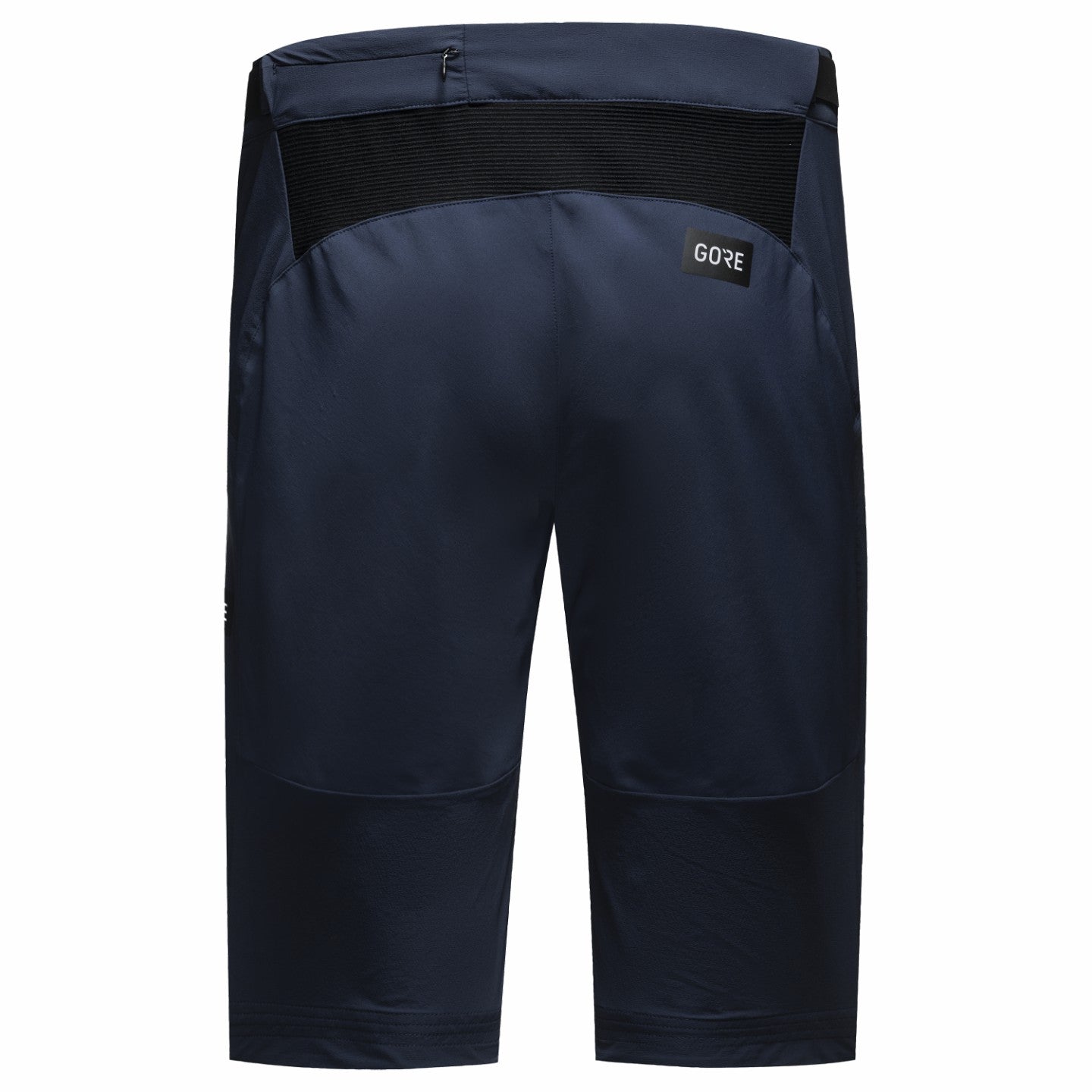 Women Fernflow Shorts - Orbit Blue